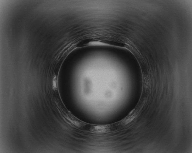 X0000052650095200507160234