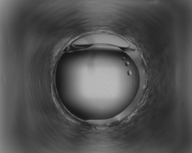 X0000052650097200507160234