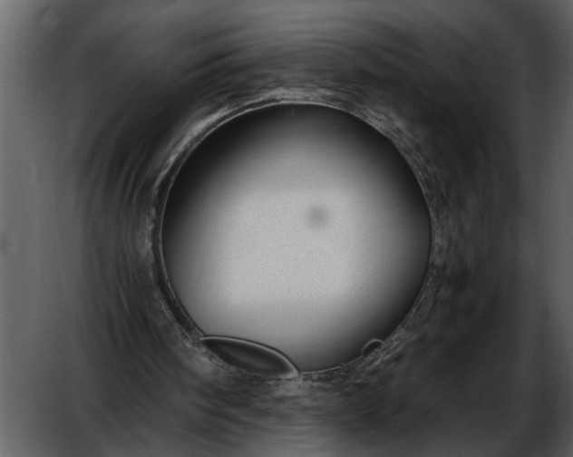 X0000052650098200507160234