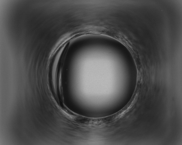 X0000052650101200507160234