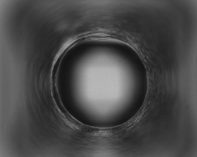 X0000052650102200507160234