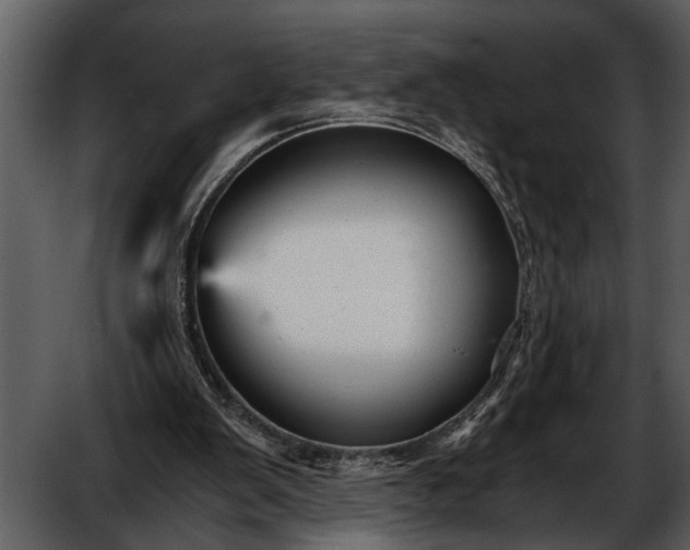 X0000052650103200507160234