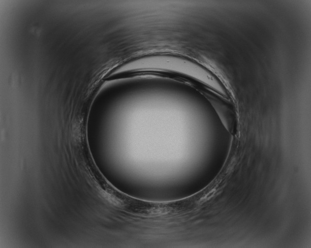 X0000052650105200507160234