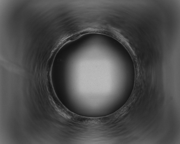 X0000052650106200507160233