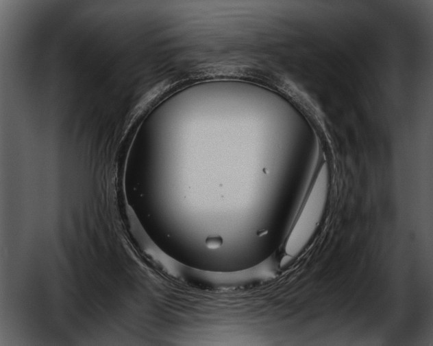 X0000052650107200507160233