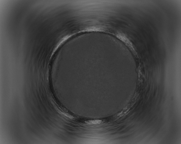 X0000052650108200507160233