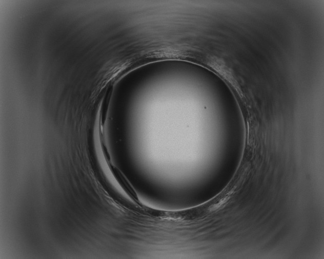 X0000052650109200507160233