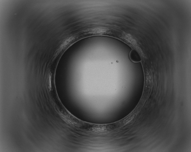 X0000052650110200507160233