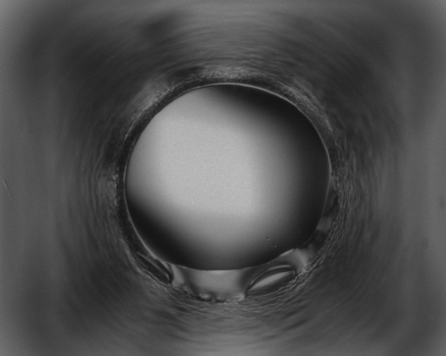 X0000052650111200507160233