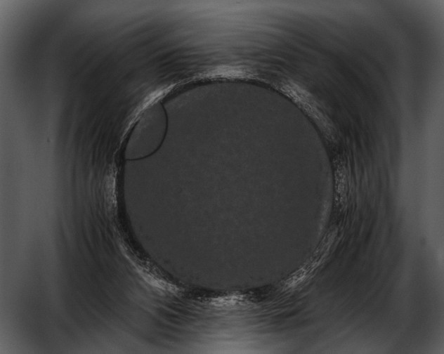 X0000052650112200507160233