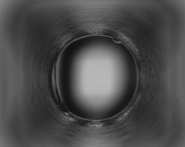 X0000052650113200507160233