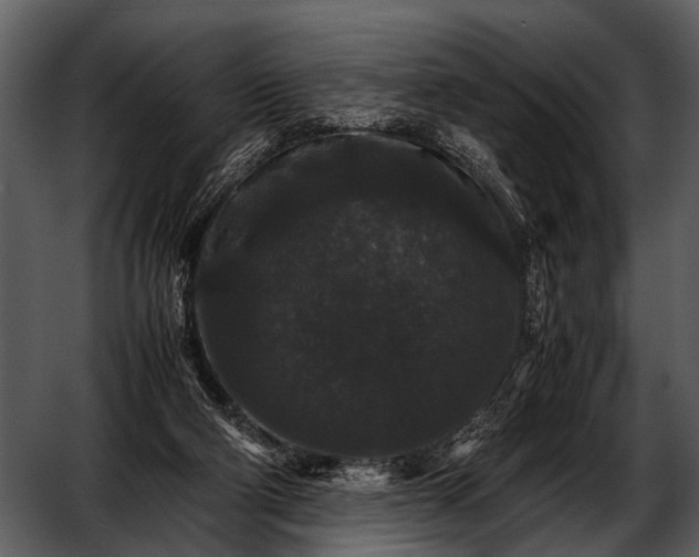 X0000052650114200507160233