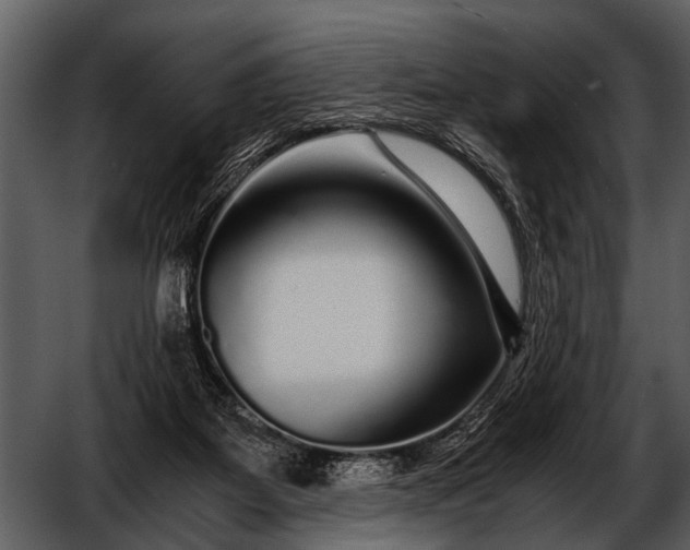 X0000052650115200507160233