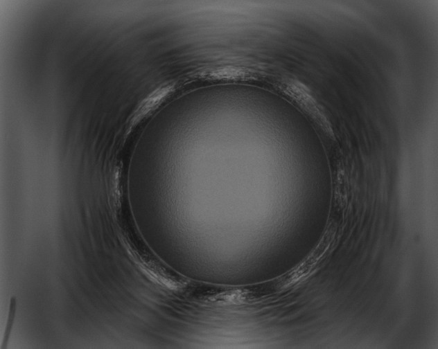 X0000052650116200507160233