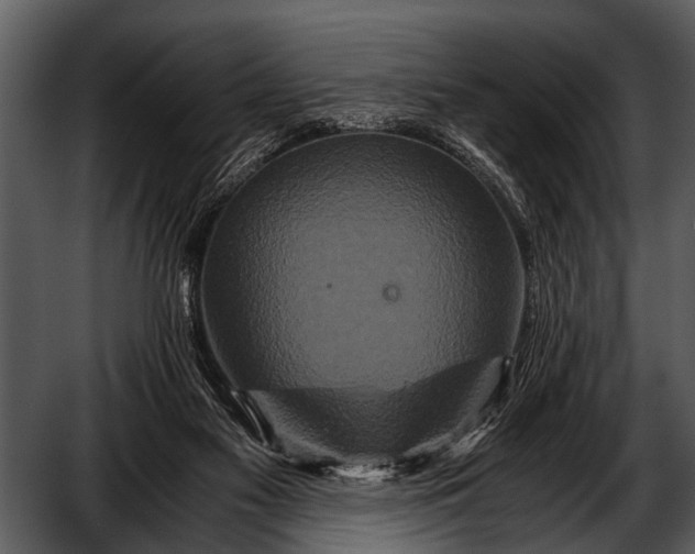 X0000052650117200507160233