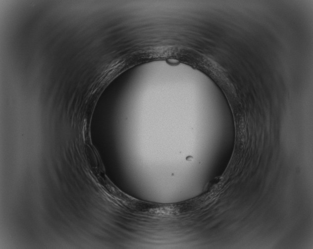 X0000052650118200507160233