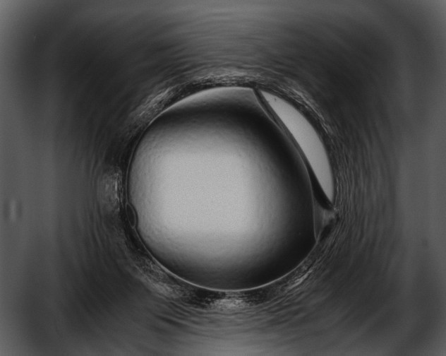 X0000052650119200507160233