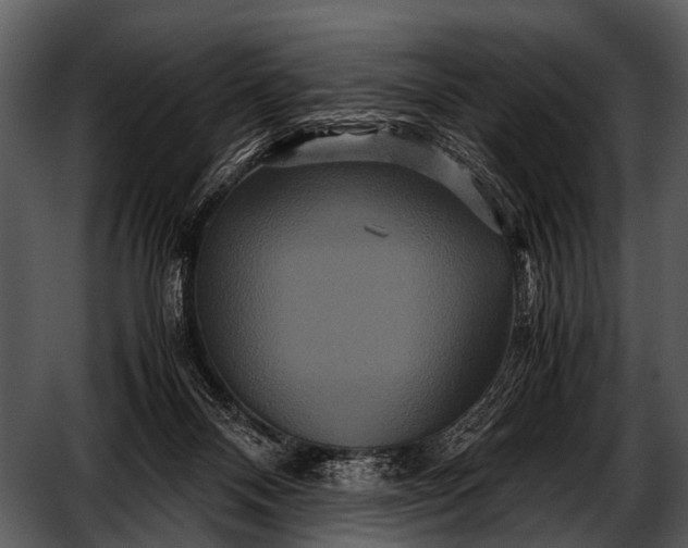 X0000052650120200507160233