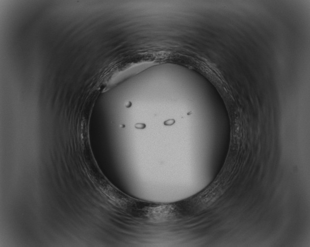 X0000052650122200507160233