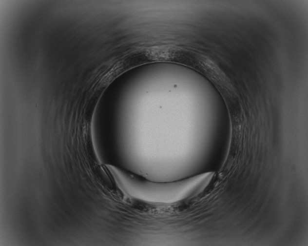 X0000052650125200507160233