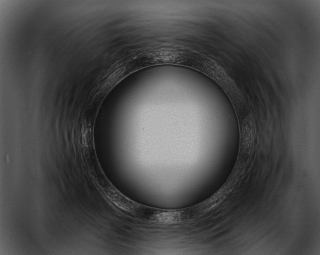 X0000052650126200507160233