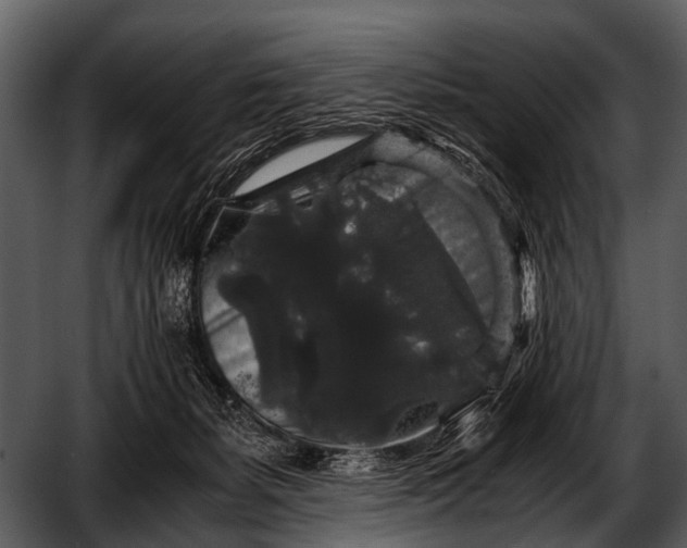 X0000052650127200507160233