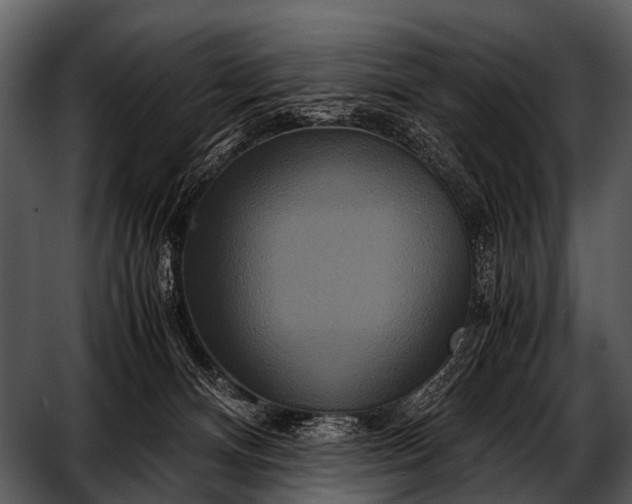 X0000052650128200507160233