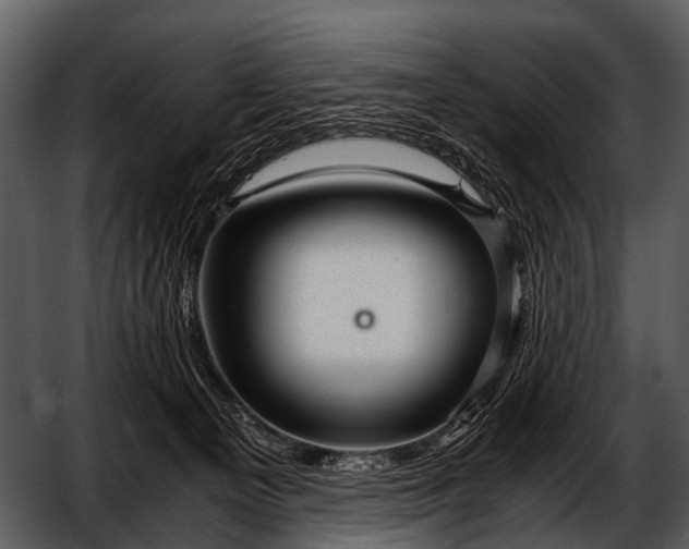 X0000052650129200507160233