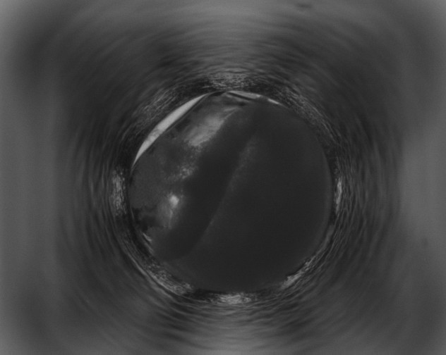 X0000052650130200507160233