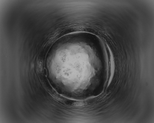 X0000052650131200507160233