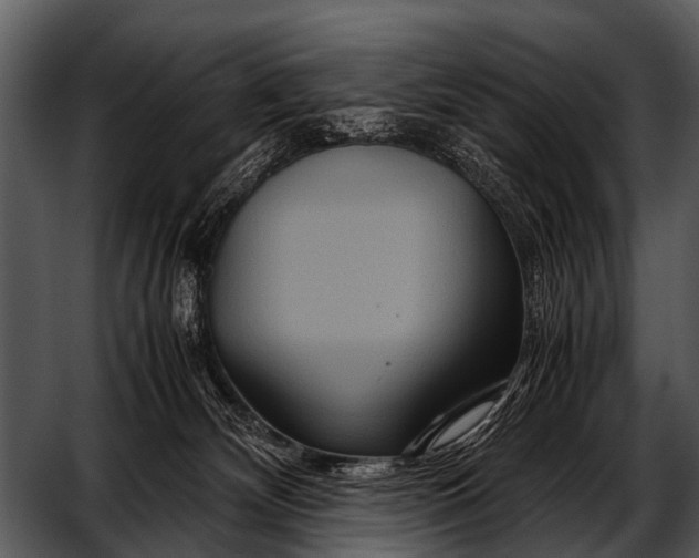 X0000052650132200507160233