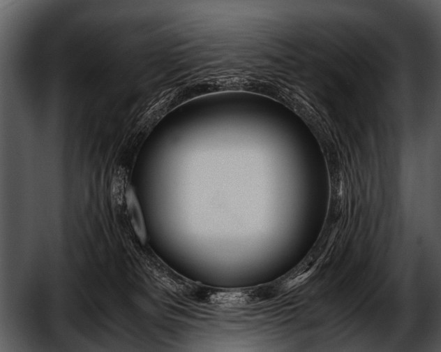 X0000052650133200507160233