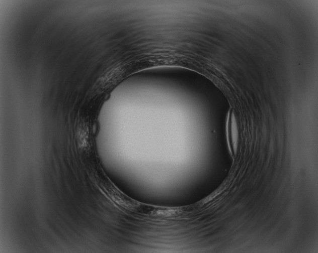 X0000052650134200507160233