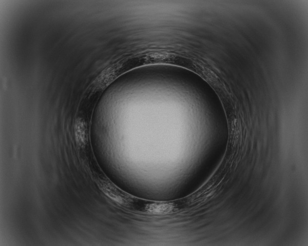 X0000052650135200507160233