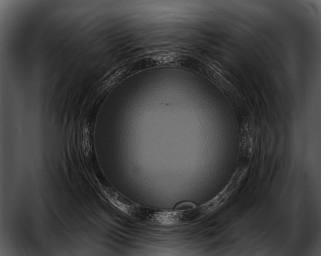 X0000052650136200507160233