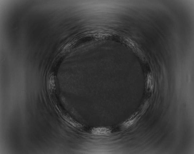 X0000052650137200507160233