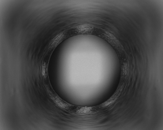 X0000052650138200507160233