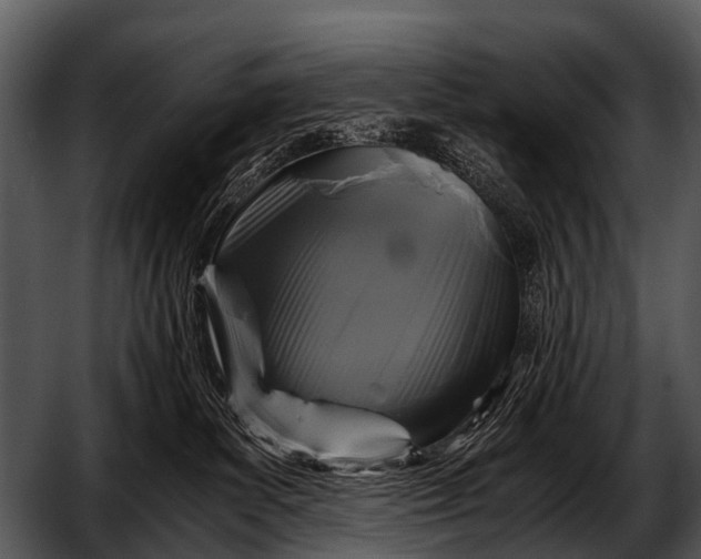 X0000052650139200507160233