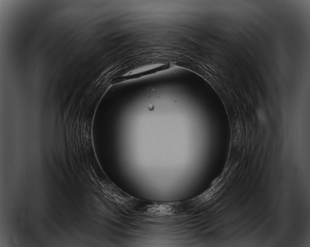 X0000052650140200507160233