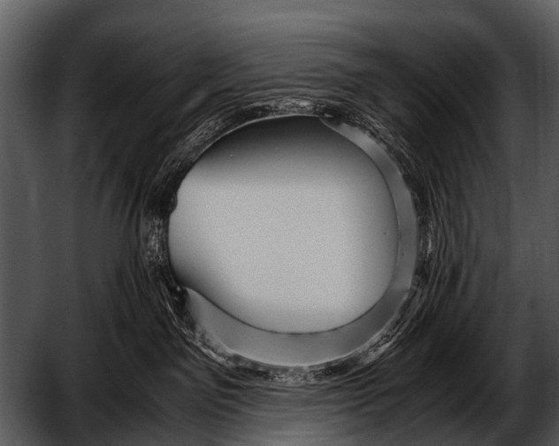 X0000052650141200507160233