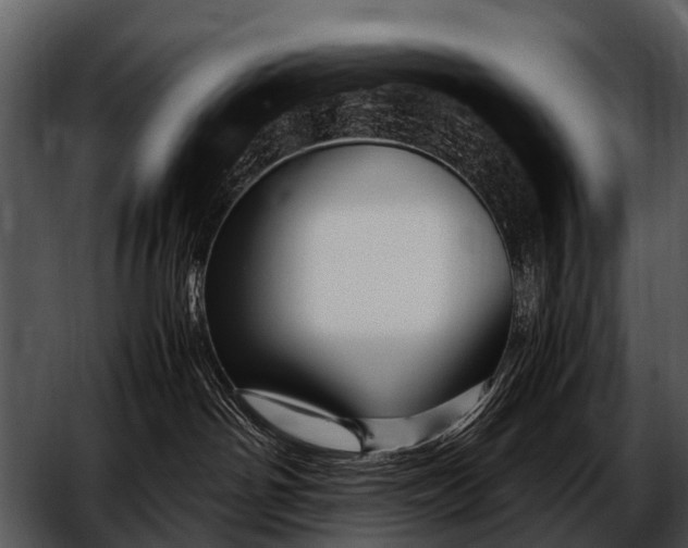 X0000052650142200507160233