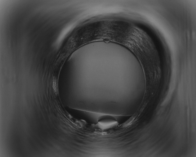 X0000052650143200507160233