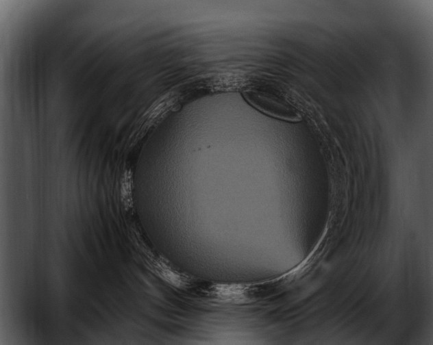 X0000052650144200507160233