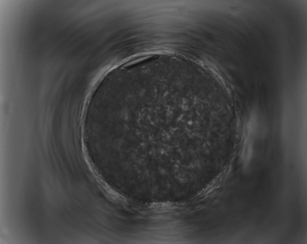 X0000052650145200507160232