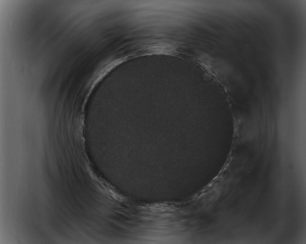 X0000052650146200507160232