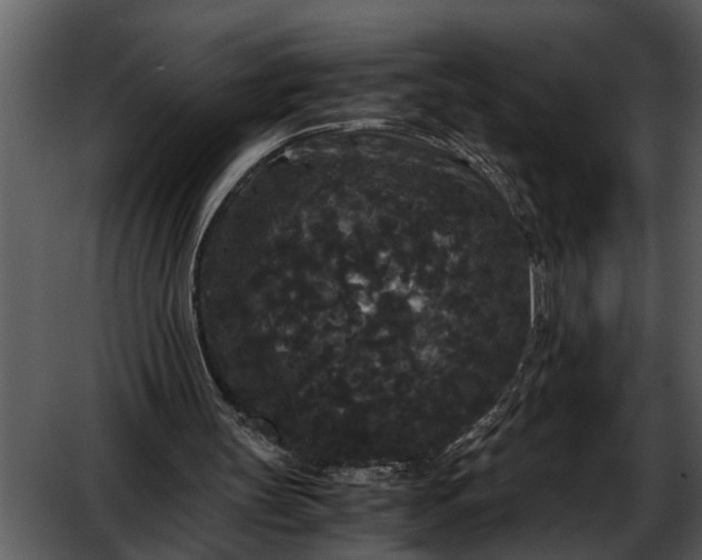 X0000052650147200507160232