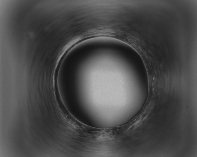 X0000052650148200507160232