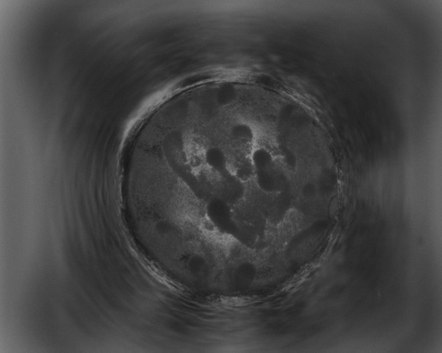 X0000052650149200507160232