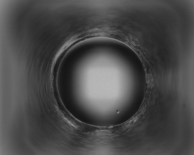 X0000052650150200507160232