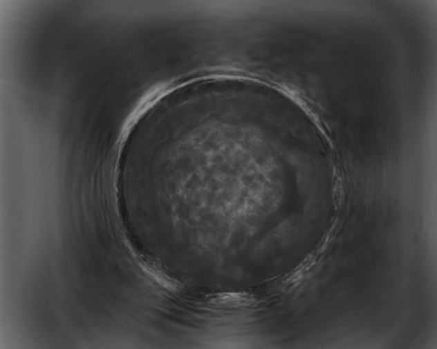 X0000052650151200507160232